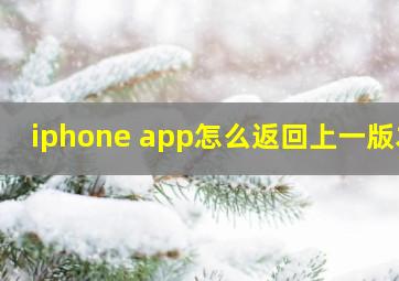 iphone app怎么返回上一版本